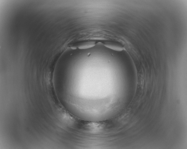 X0000068860326200605051245