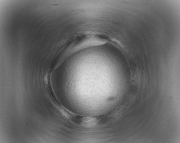 X0000068860334200605051245
