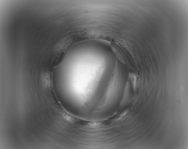 X0000068860335200605051245