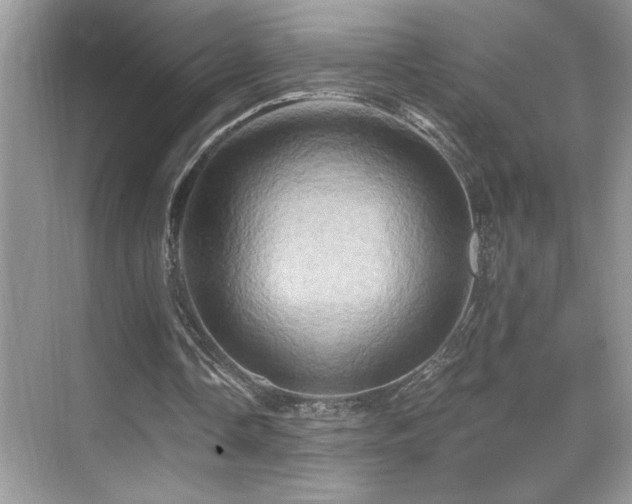 X0000068860338200605051244