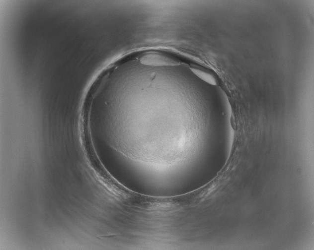 X0000068860342200605051244