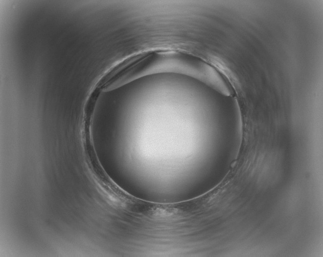 X0000068860346200605051244