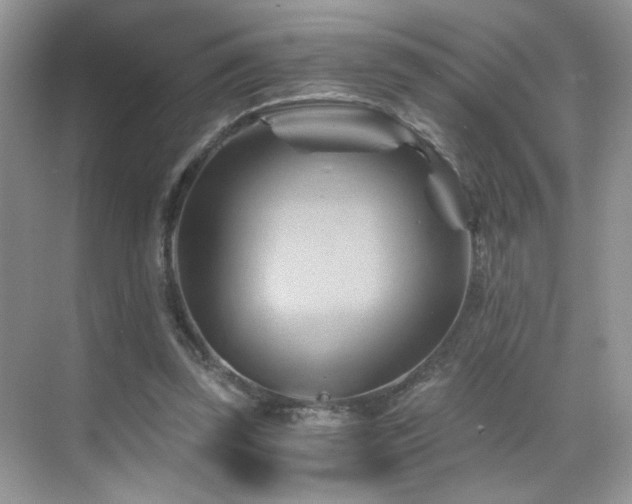 X0000068860347200605051244