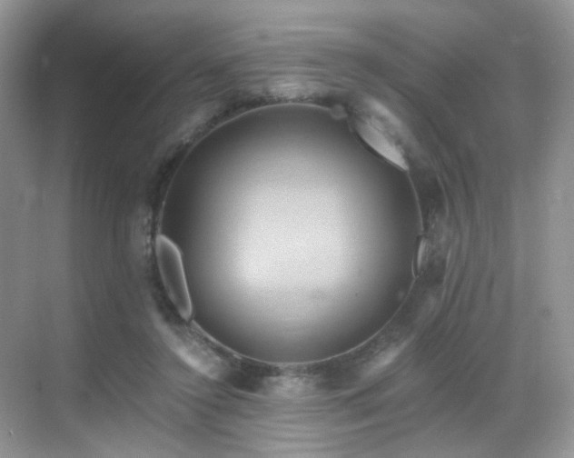 X0000068860356200605051245