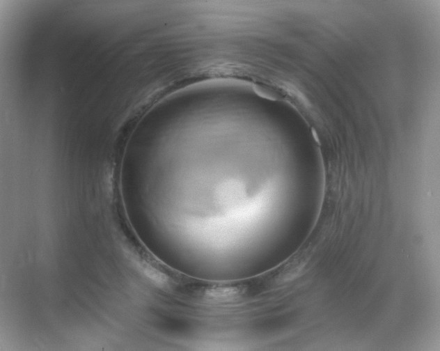 X0000068860357200605051245