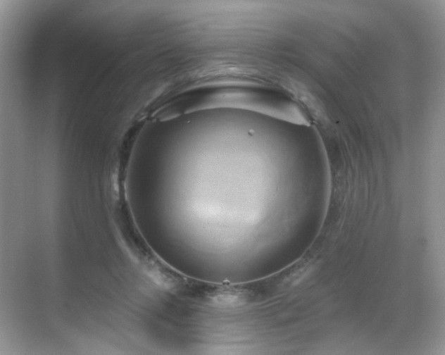 X0000068860358200605051245