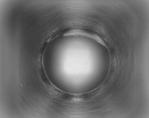 X0000068860360200605051245