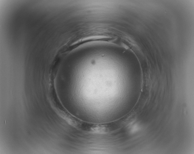 X0000068860362200605051245