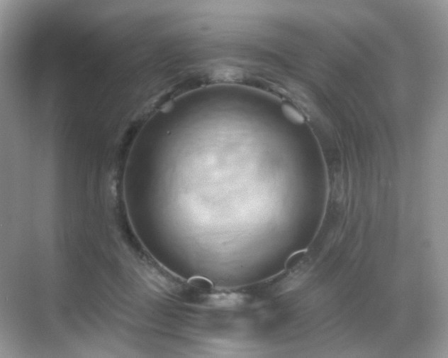 X0000068860363200605051245