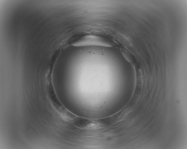 X0000068860364200605051245