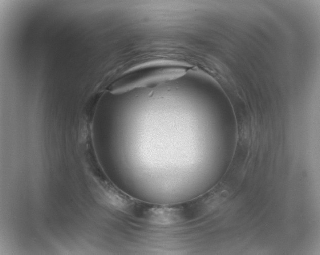 X0000068860367200605051245