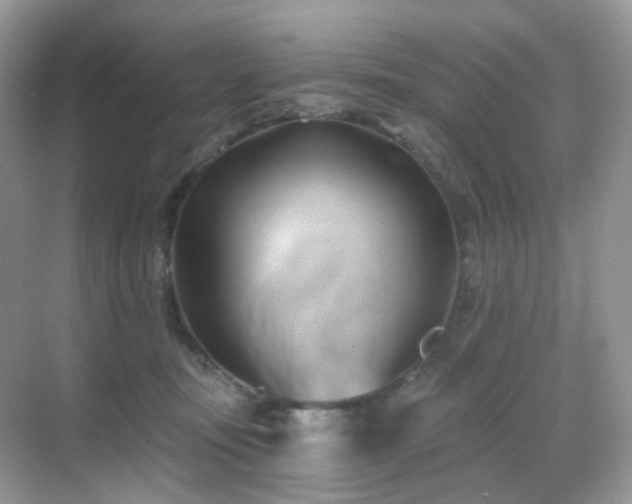 X0000068860371200605051245