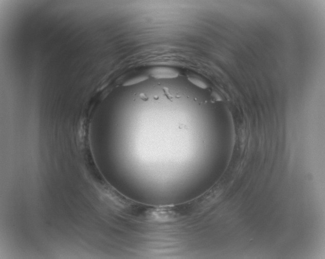 X0000068860372200605051245