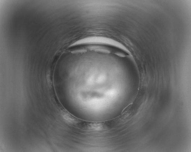 X0000068860377200605051245