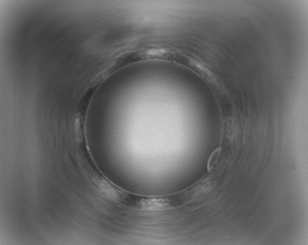X0000068860378200605051245