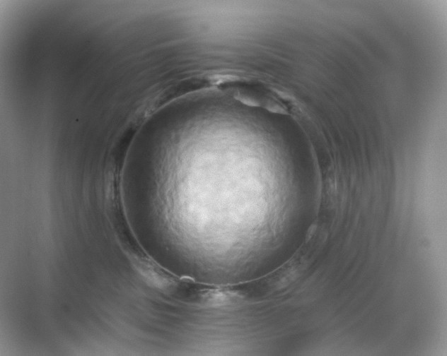 X0000068860379200605051245
