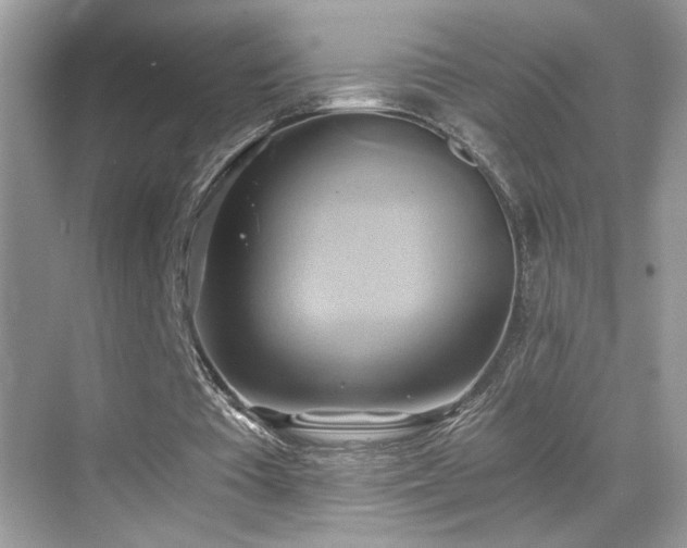 X0000068860385200605051244