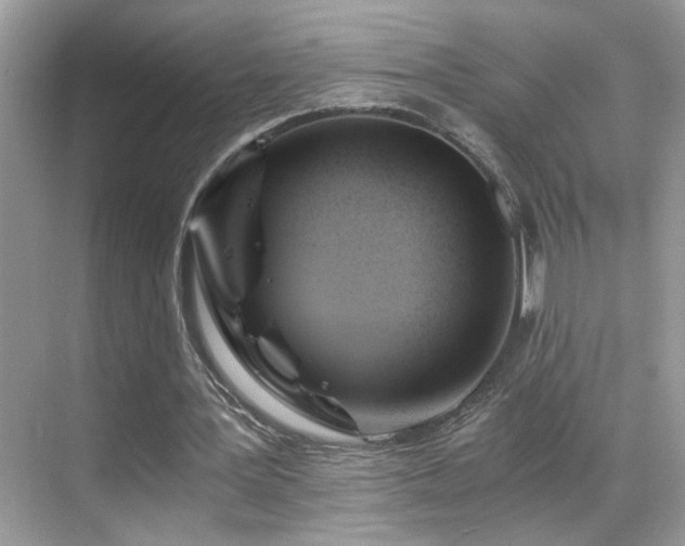 X0000068860387200605051244