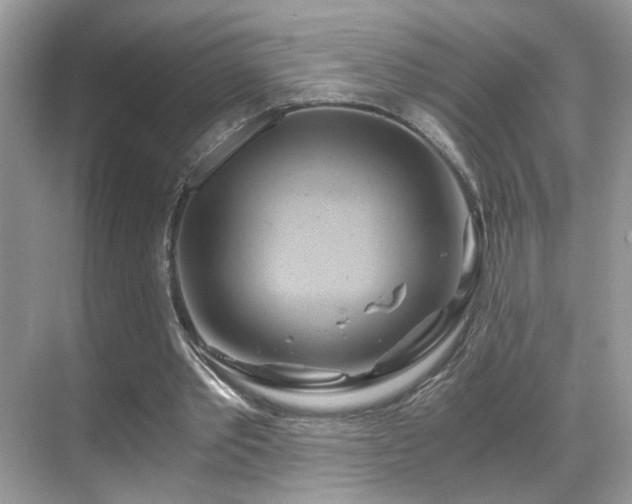 X0000068860389200605051244