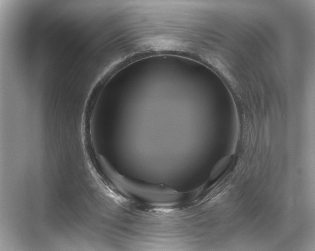 X0000068860391200605051244