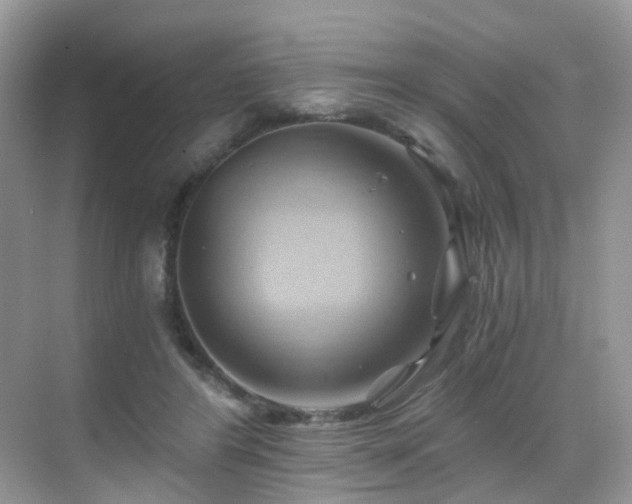 X0000068860404200605051244