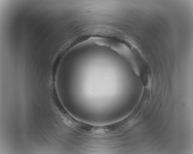 X0000068860407200605051244