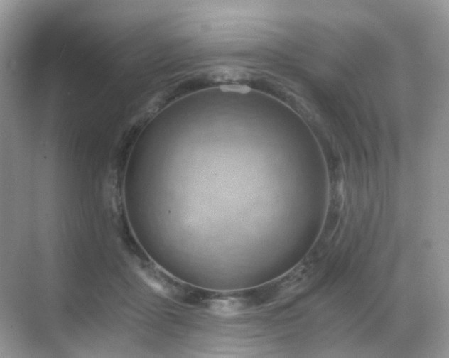 X0000068860411200605051244