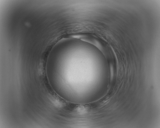 X0000068860416200605051244