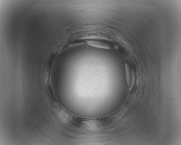 X0000068860417200605051244