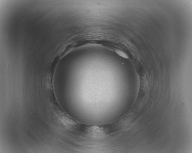 X0000068860421200605051244