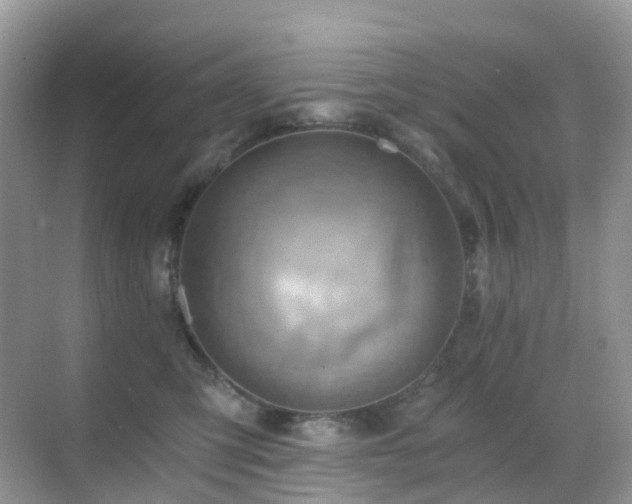 X0000068860423200605051244