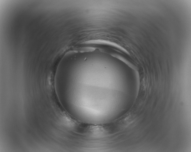X0000068860424200605051244
