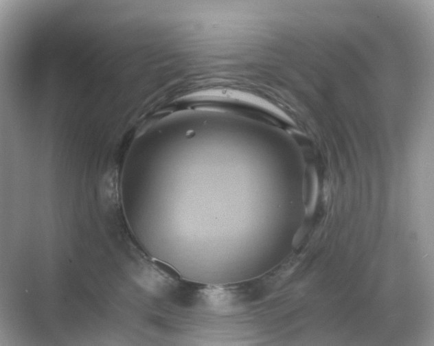 X0000068860425200605051244