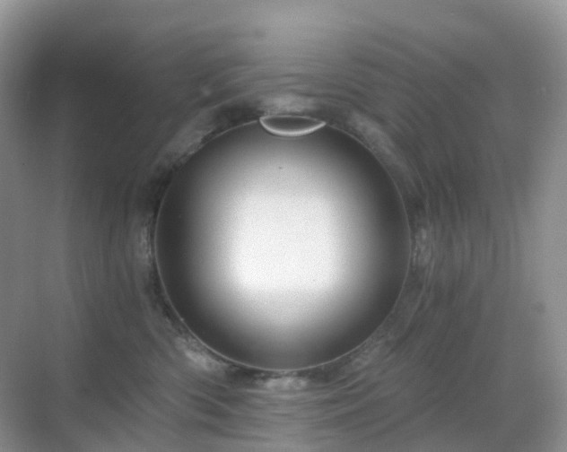 X0000068860426200605051244
