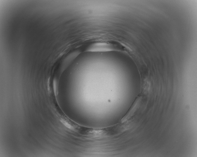 X0000068860428200605051244