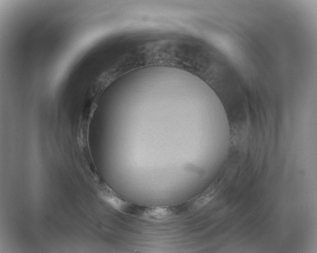 X0000068860431200605051243
