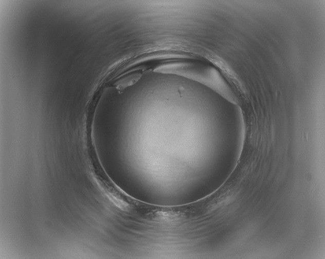 X0000068860442200605051243