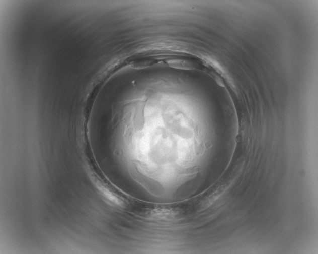 X0000068860445200605051243