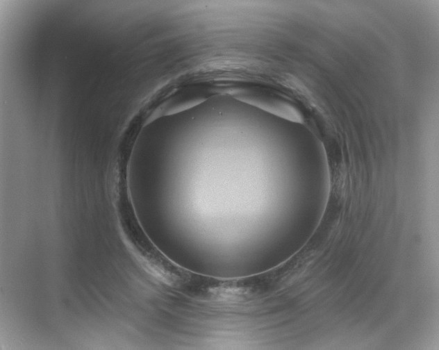 X0000068860448200605051243