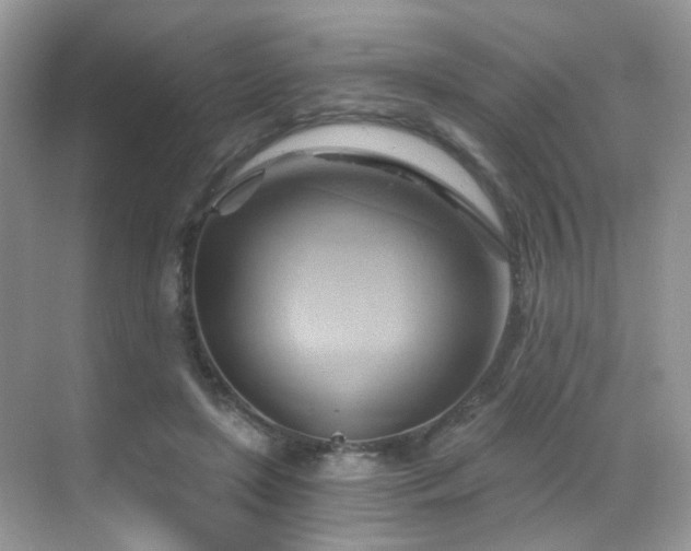 X0000068860451200605051243