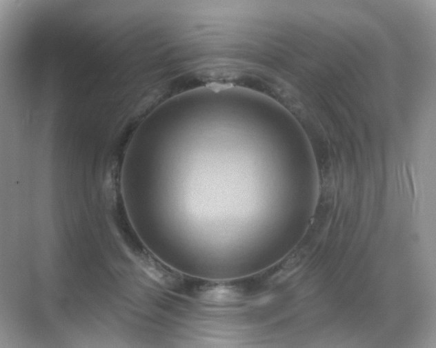 X0000068860460200605051243