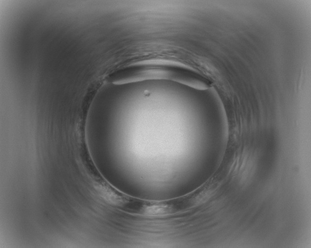 X0000068860461200605051243