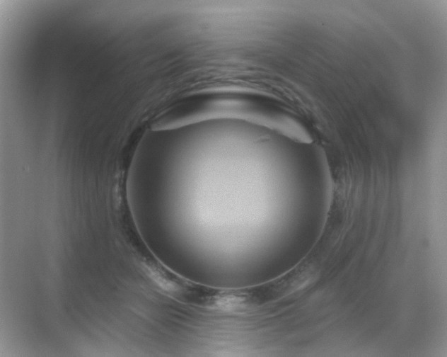 X0000068860462200605051243