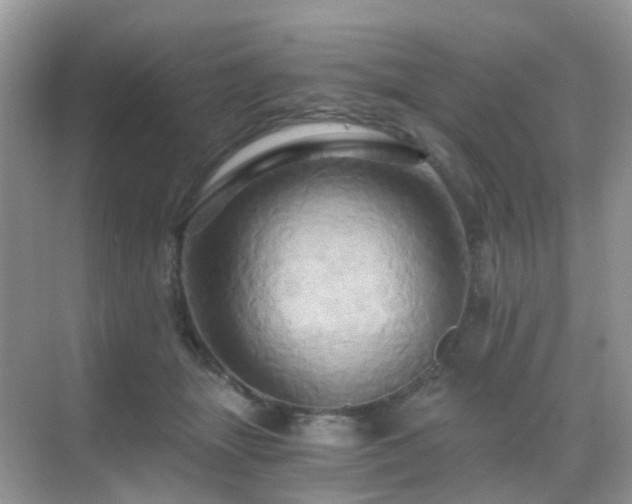 X0000068860463200605051243