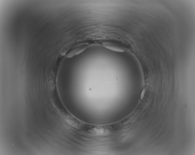 X0000068860464200605051243