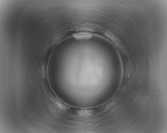 X0000068860465200605051243