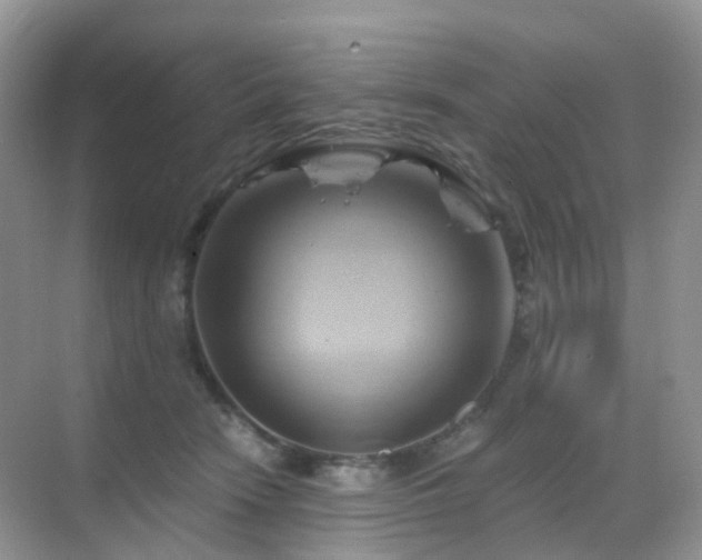 X0000068860466200605051243