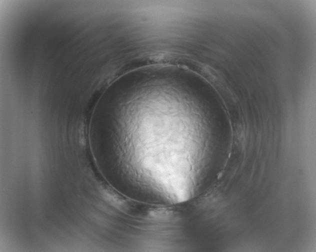 X0000068860470200605051243