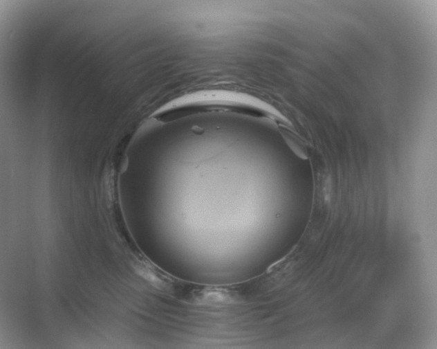 X0000068860475200605051243