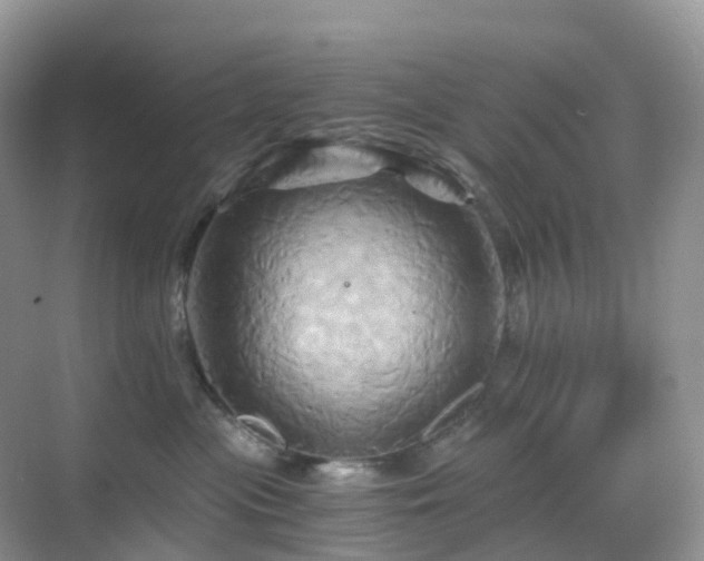 X0000068860477200605051243